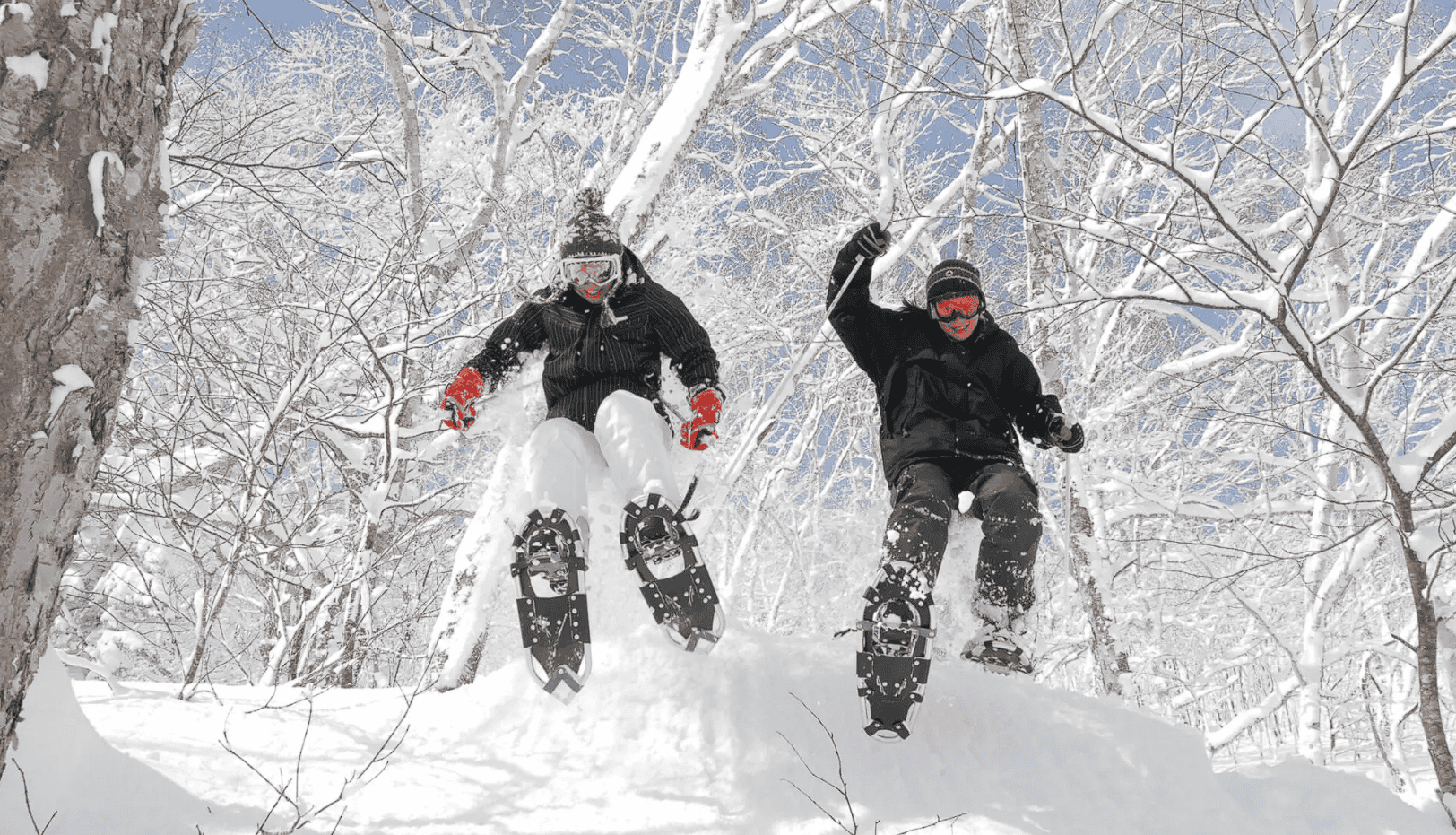 Niseko Ski Resort